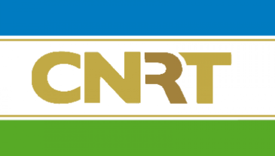 Bandeira CNRT.