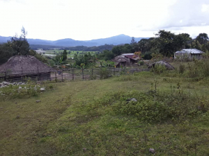 Uma komunidade iha aldeia Bereleu ne&#039;ebé  la asesu ba Eletrisidade, Kinta (11/3)