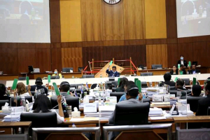 Membru Parlamentu Nasional  vota hodi aprova MPKK iha plenaria PN (20/7)