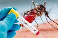 MAPKOMS Husu Komunidade Kontinua Halo Prevensaun ba Moras Dengue