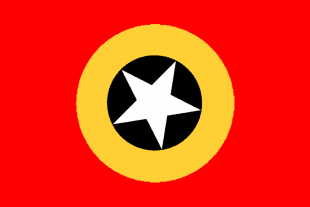 Bandeira CPD-RDTL.