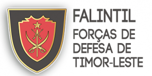 Emblema F-FDTL.