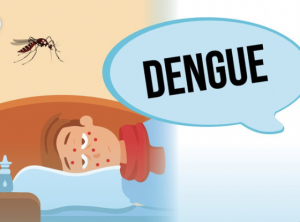 Sidadaun ida afeta moras dengue toba hela. 