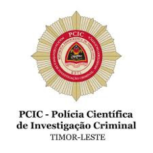 PCIC Konsidera Lei Cyber Crime Importante ba TL