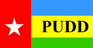 Bandeira PUDD